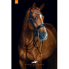 Schockemohle Venice Anatomic Double Bridle