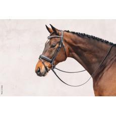 Schockemohle Malibu Flash Bridle