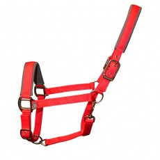 Woof Wear Contour Head Collar (Royal Red)