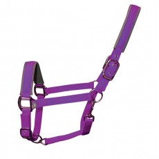 Woof Wear Contour Head Collar (Ultra Violet)