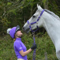 Woof Wear Contour Head Collar (Ultra Violet)