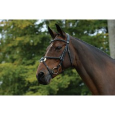 Collegiate Comfitec Grackle Bridle (Black)