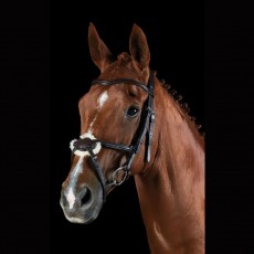Collegiate Comfitec Grackle Bridle (Brown)