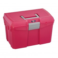 ProTack Grooming Box (Raspberry/Silver)