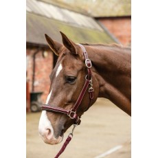 Mark Todd (Clearance) Leather Raised Fancy Stitch Headcollar (Havana)