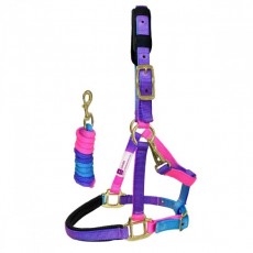 KM Elite Padded Headcollar & Lead (Unicorn)