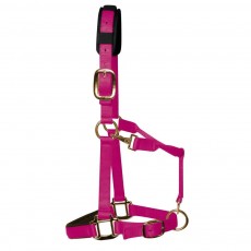 KM Elite Padded Headcollar (Raspberry)