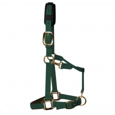 KM Elite Padded Headcollar (Hunter Green)