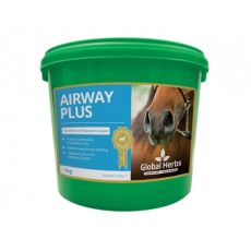 Global Herbs Airway Plus Powder