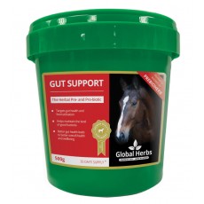 Global Herbs Gut Support