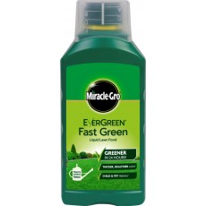 Miracle Gro Evergreen Fast Green Concentrate