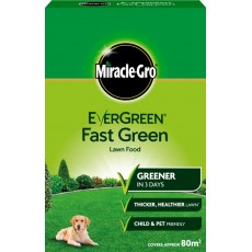 Miracle Gro Evergreen Fast Green Box