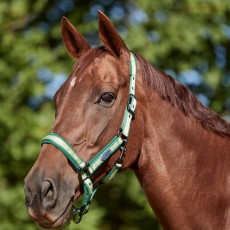 Weatherbeeta Coordinate Headcollar (Dark Green/Tan/Light Green)