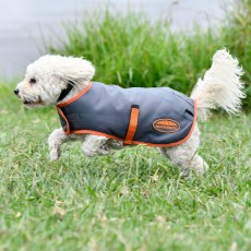 Weatherbeeta Comfitec Windbreaker Free Dog Coat (Gunmetal/Coral)