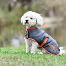 Weatherbeeta Comfitec Windbreaker Free Dog Coat (Gunmetal/Coral)