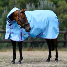 Weatherbeeta Comfitec Classic Turnout Combo Neck 100g Medium/Lite (Light Blue/Purple)