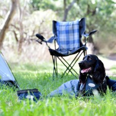 Weatherbeeta Explorer Dog Sleeping Bag (Navy)