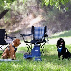 Weatherbeeta Explorer Dog Harness (Navy)