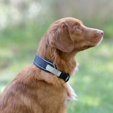 Weatherbeeta Explorer Dog Collar (Navy)