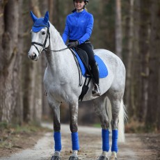 Weatherbeeta Prime Ladies Long Sleeve Top (Royal Blue)