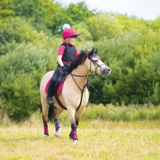 Woof Wear Young Rider Short Sleeve Shirt (Berry)