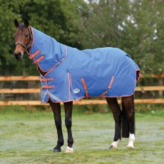 Weatherbeeta Comfitec Plus Dynamic II Detach-A-Neck 220g Mediumweight Turnout (Royal Blue/Bright Ora