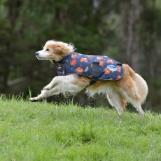 Weatherbeeta Comfitec Premier Free Parka Dog Coat 200g Medium (Squirrel Print)