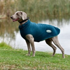 Weatherbeeta Green-Tec Fleece Zip Dog Coat (Dragonfly Blue/Bottle Green)