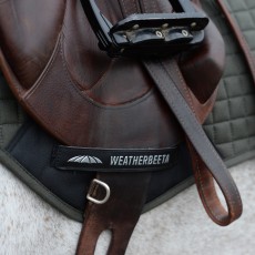 Weatherbeeta Prime Dressage Saddle Pad (Sage)