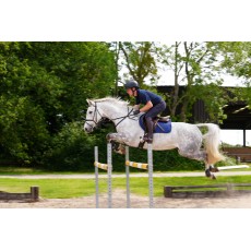 Woof Wear Mens Original Breeches - Knee Grip (Navy)