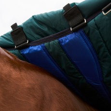 Weatherbeeta Comfitec Plus Dynamic Detach-a-Neck Turnout 0g (Navy/Forest Green)