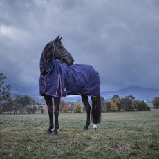 Weatherbeeta Comfitec Essential Turnout Combo 360g (Navy/Burgundy)