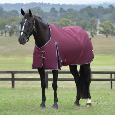 Weatherbeeta Comfitec Essential Standard Neck Turnout 0g (Navy/Burgundy)