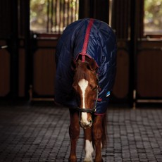 Weatherbeeta Comfitec 210d Channel Quilt Stable Combo 220g (Navy/Burgundy)