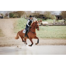 Champion Teen Liber8 Body Protector (Black)