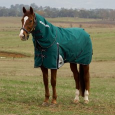 Weatherbeeta ComfiTec Plus Dynamic Detach a Neck 100g Turnout (Forest Green/Navy) Weatherbeeta ComfiTec Plus Dynamic Detach a Neck 100g Turnout (Forest Green/Navy)