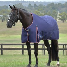 Weatherbeeta ComFiTec Essential Turnout Standard Neck 50g Rug (Navy/Burgundy) Weatherbeeta ComFiTec Essential Turnout Standard Neck 50g Rug (Navy/Burgundy)