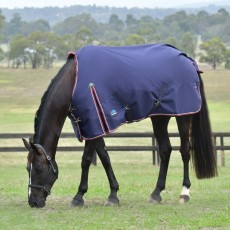 Weatherbeeta ComFiTec Essential Turnout Standard Neck 0g Rug (Navy/Burgundy) Weatherbeeta ComFiTec Essential Turnout Standard Neck 0g Rug (Navy/Burgundy)