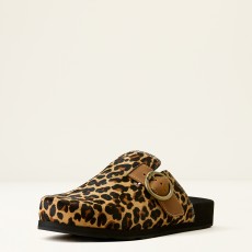 Ariat Women's Country Mule (Leopard Hair On) Ariat Women's Country Mule (Leopard Hair On)