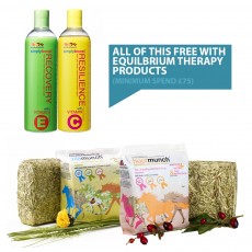 Equilibrium Therapy Bundle