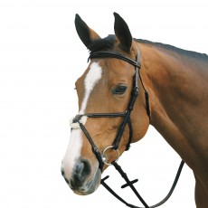 Mark Todd Plain Raised Bridle with Grackle Noseband (Black)