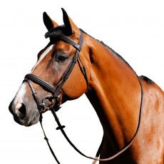 Mark Todd Double Raised Bridle (Havana)