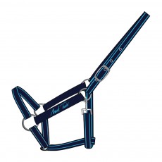 Mark Todd Headcollar (Navy & Aqua) Mark Todd Headcollar (Navy & Aqua)