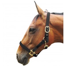 JHL Padded Headcollar (Black)