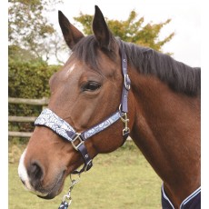JHL Paisley Print Headcollar (Sky Blue & Navy)