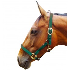 JHL Padded Headcollar (Hunter Green)