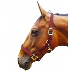 JHL Padded Headcollar (Burgundy)