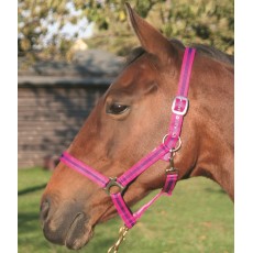 JHL Standard Headcollar (Fuchsia & Purple)