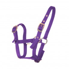 JHL Foal Headcollar (Purple)