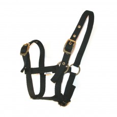 JHL Foal Headcollar (Black)